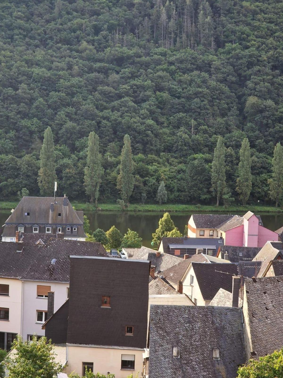 Deni'S Ferienwohnungen Klotten Extérieur photo