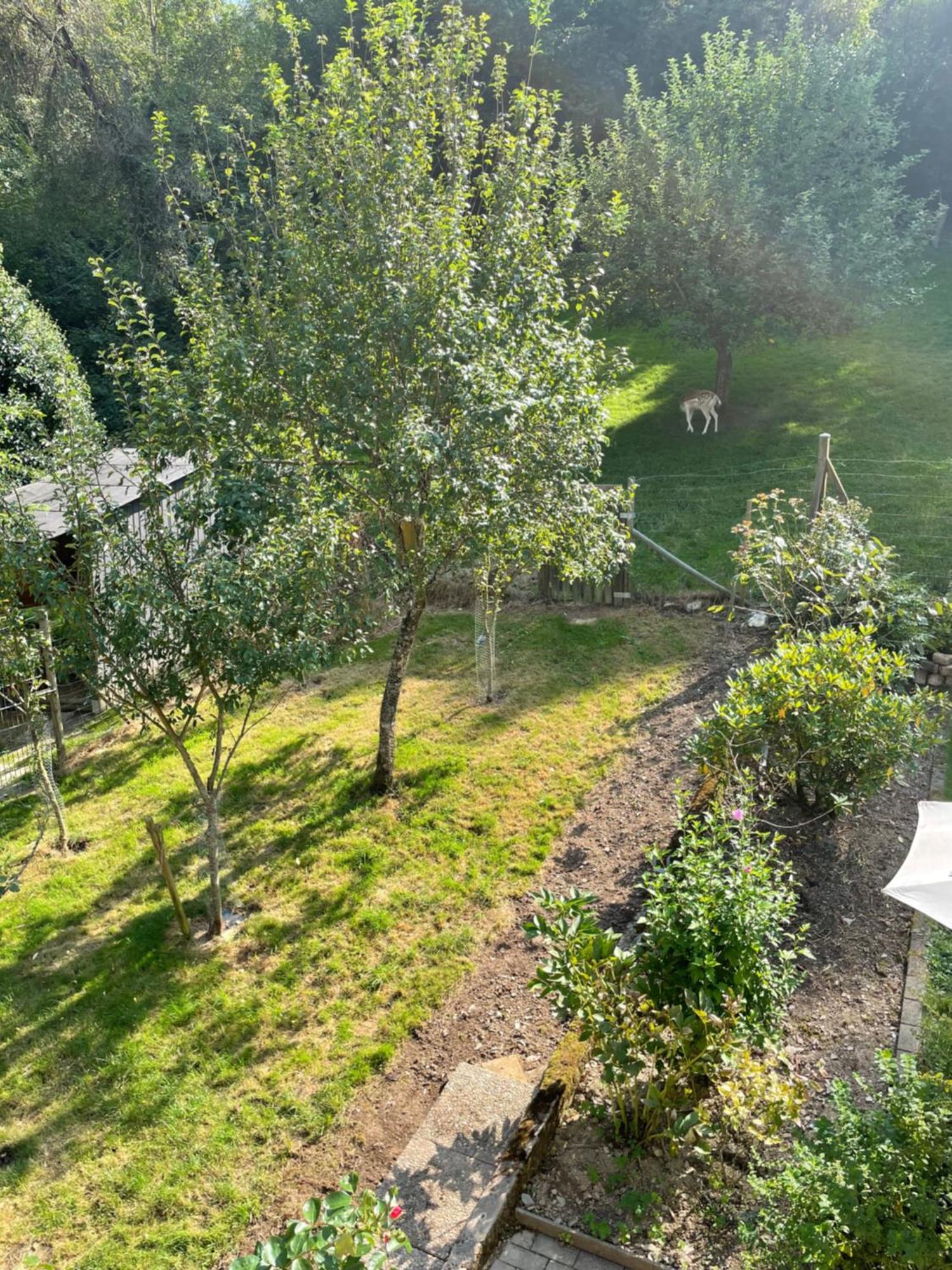 Deni'S Ferienwohnungen Klotten Extérieur photo